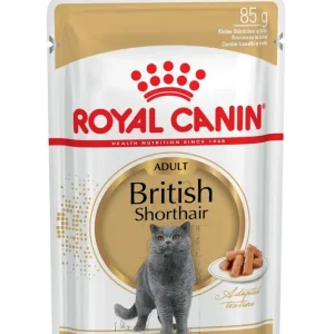 Meistverkauft ROYAL CANIN Feline Breed Nutrition British Shorthair 85 g